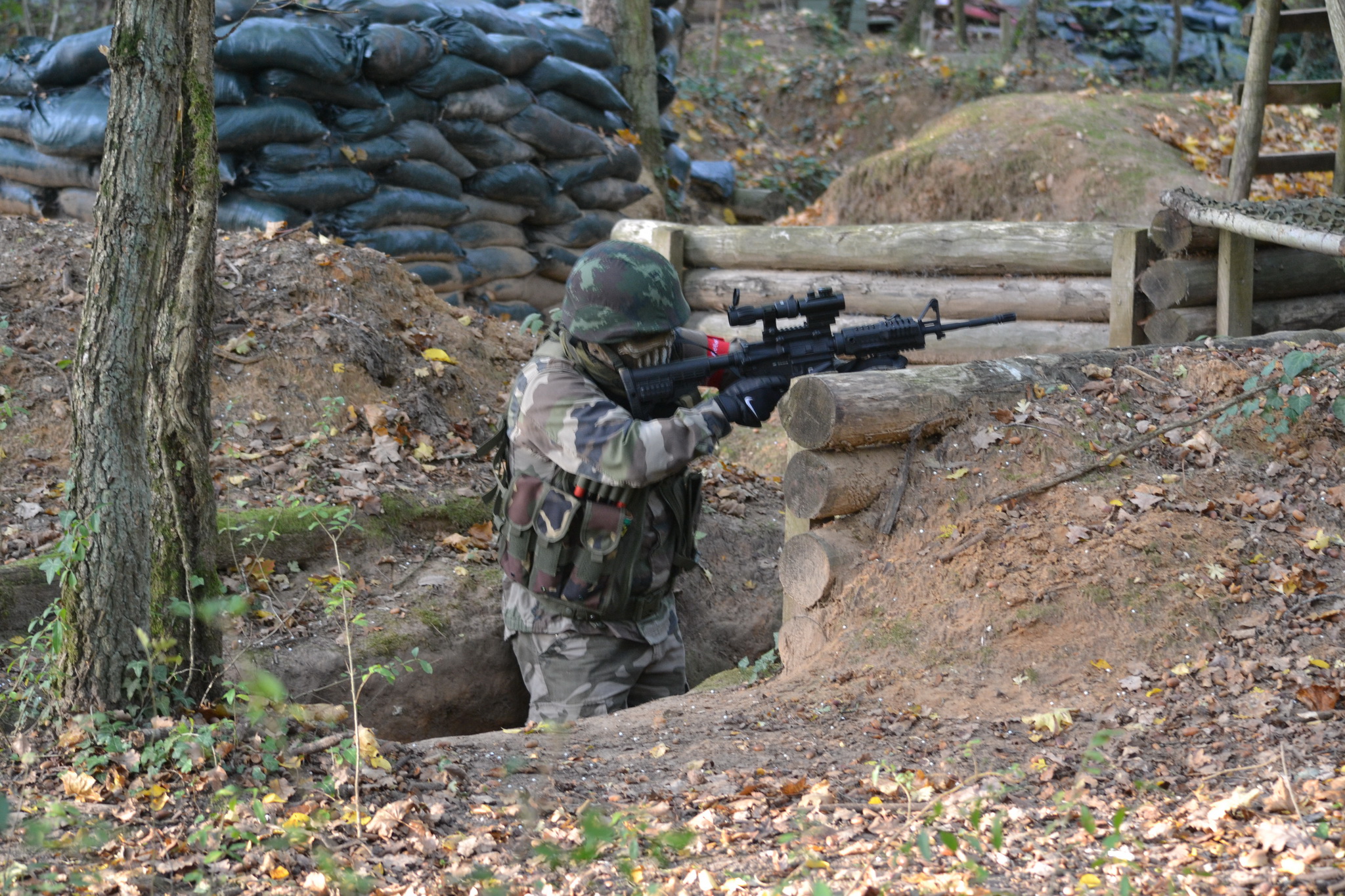 Capture 31